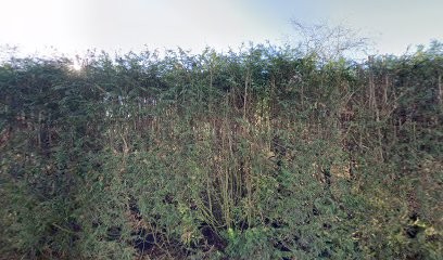 Hedge View House, Chambre d'Hôtes à Châteaubriant
