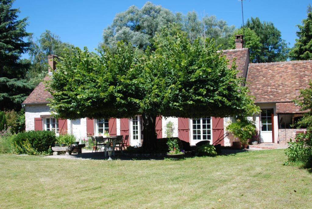 La Petite Marguerite, Chambre d'Hôtes à Chitenay