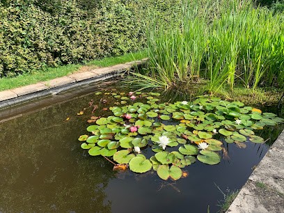Domaine Water Lily, Chambre d'Hôtes à La Neuville-Chant-d'Oisel