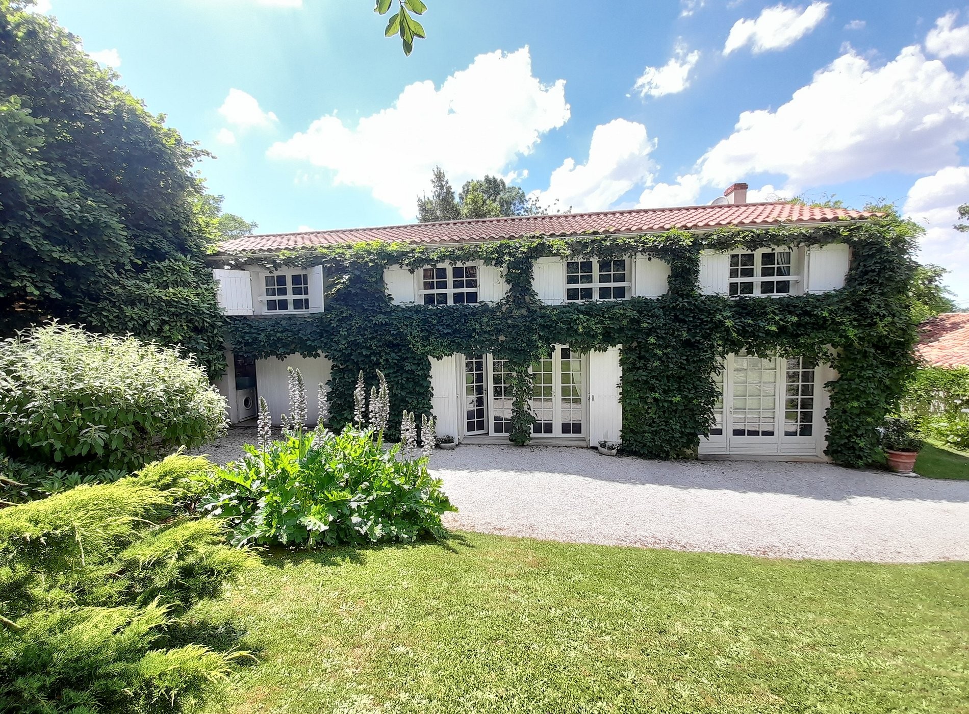 Le Petit Massigny, Chambre d'Hôtes à Velluire