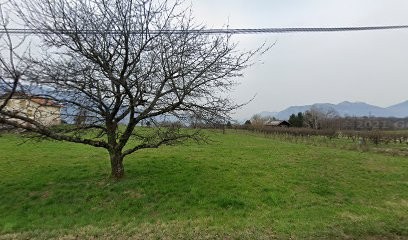 Domaine de Pierrambre, Chambre d'Hôtes à Saint-Maximin