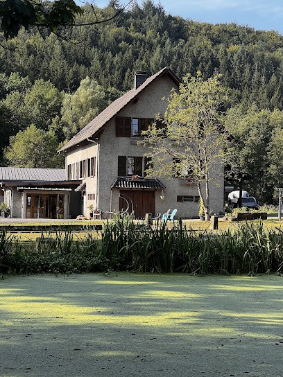 Domaine équestre Du Trèfle D'Or, Chambres D’hôtes, Chambre d'Hôtes à Soucht