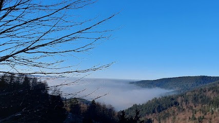 GITEOVOSGES, Location de Vacances à La Croix-aux-Mines