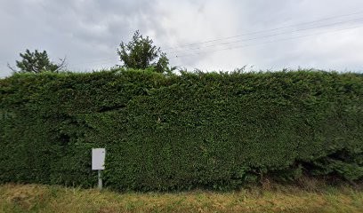 Les bibasses, Chambre d'Hôtes à Aillas