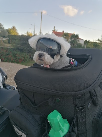 le petit Radieux, Chambre d'Hôtes à Gémozac