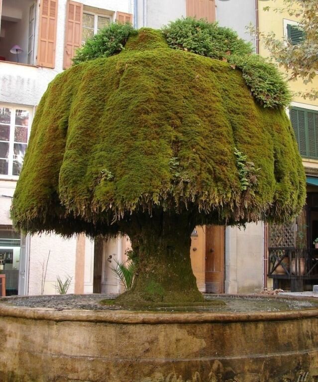 CHAMBRE + PETIT DEJEUNER, Chambre d'Hôtes à Barjols