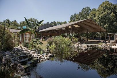 The Hangar Project, Chambre d'Hôtes à Saint-Michel-Escalus