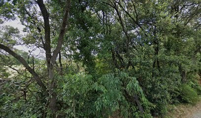 Mas Des Oliviers, Chambre d'Hôtes à Souvignargues