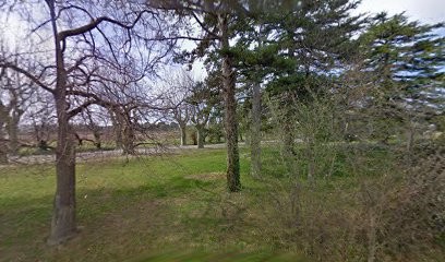 4691 Rte de Cairanne, Maison d'Hôtes à Travaillan