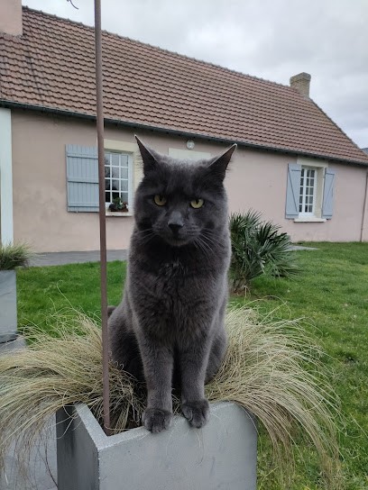 La Catinière, Chambre d'Hôtes à Arnage