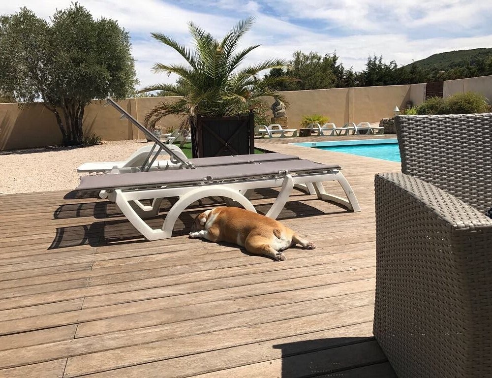 Lamanderie En Provence, Chambre d'Hôtes à Alleins