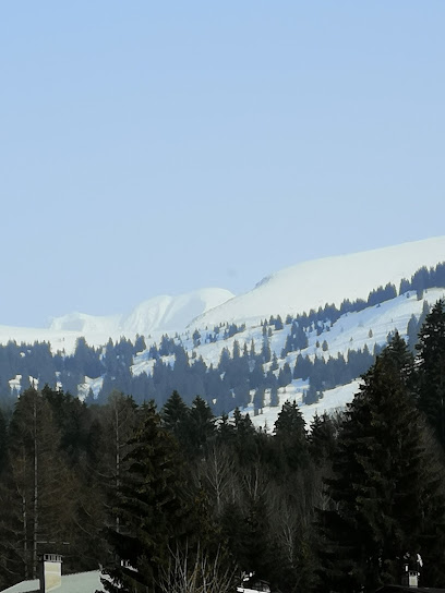 Appartement Megeve, Location De Vacances à Megève
