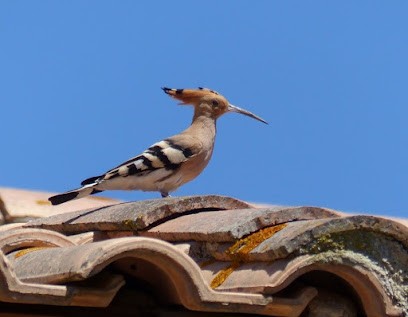 La Taupinière Du Gers, écolo-gîte De Charme En Gascogne., Location de Vacances à Moncorneil-Grazan