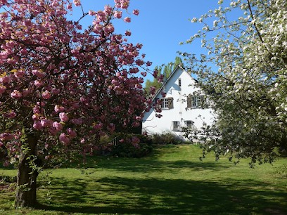 Azuré Chambres d'hôtes, Chambre d'Hôtes à Orgeval