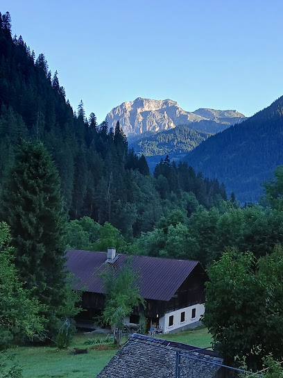Le Chardon Bleu Location De Vacances à Châtel