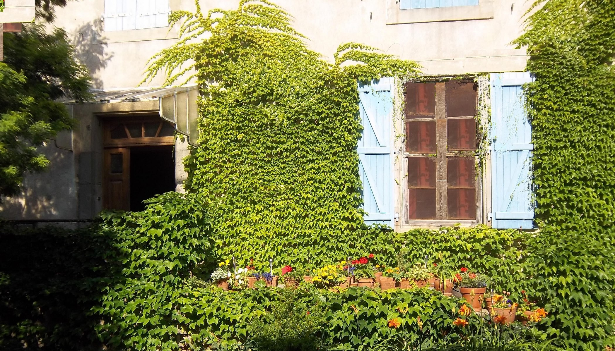 Les Mimosas, Chambre d'Hôtes à Laure-Minervois