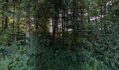 chez Hinri, Chambre d'Hôtes à Fougerolles