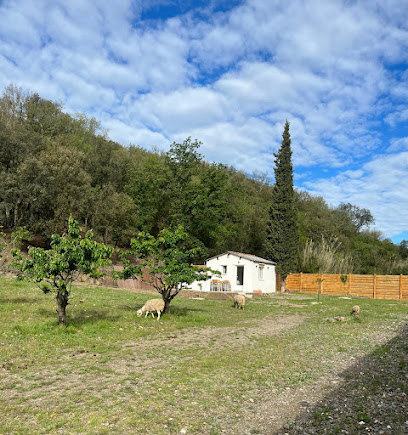 Cami De San Ferreol, Location De Vacances à Céret