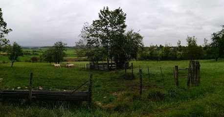 Chez Marie-Anne, Chambre d'Hôtes à Sacquenay