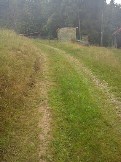 Vakantiehuis Belle Foret, Chambre d'Hôtes au Thillot