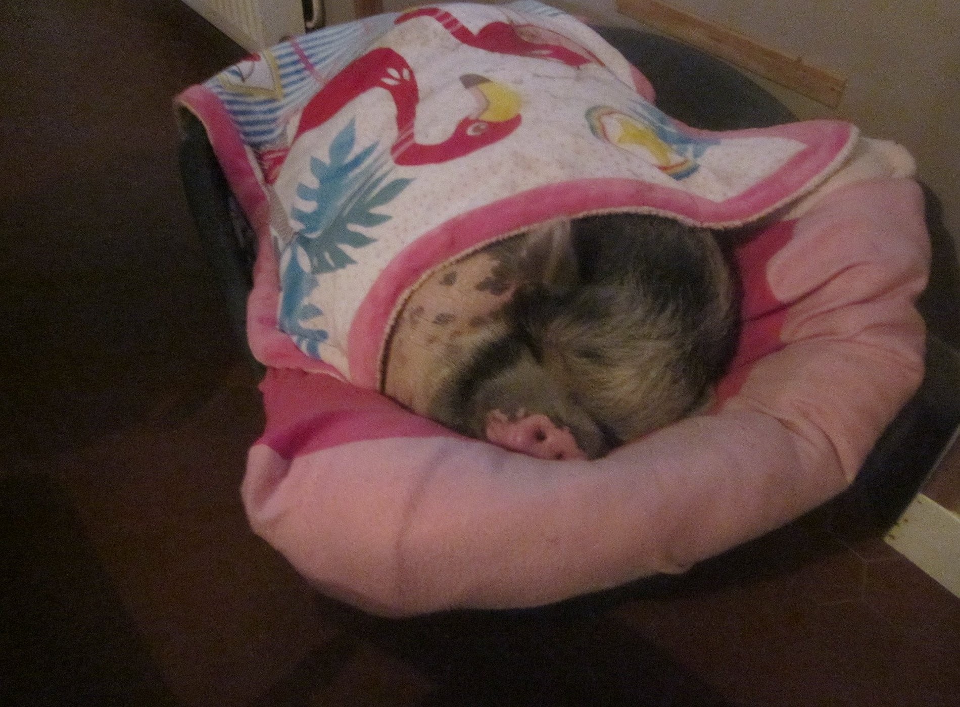 Arret et Aller, Maison d'Hôtes à Argagnon