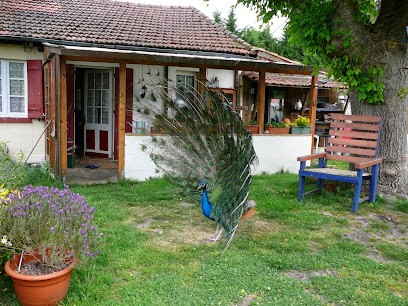 Guesthouse La Burle, Chambre d'Hôtes à Parentis-en-Born