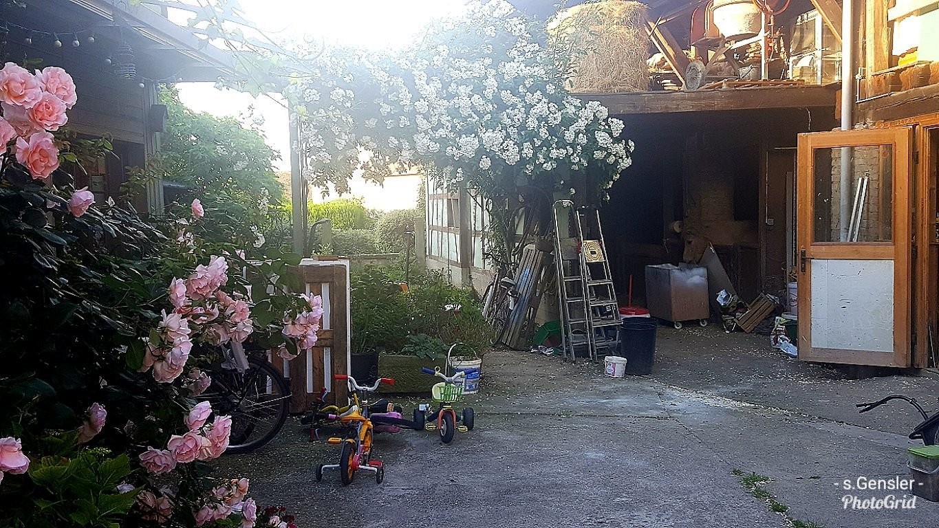 Maison du Charron, Chambre d'Hôtes à Berstett