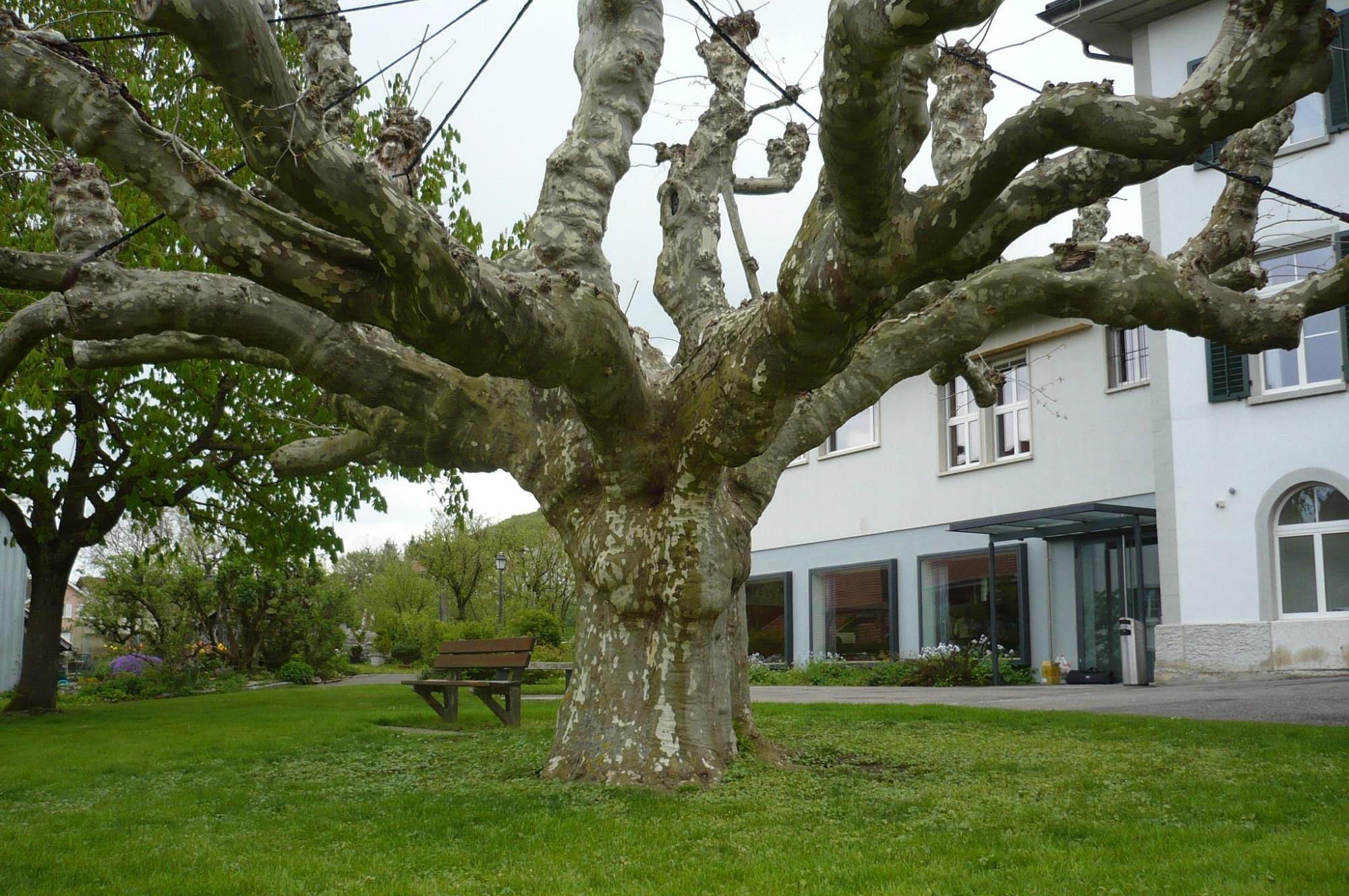 Chambres D'hôtes La Grange Bleue De Baur Paul, Chambre d'Hôtes à Leymen
