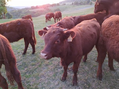Fererol Hautier Paul, Chambre d'Hôtes à Saint-Cernin