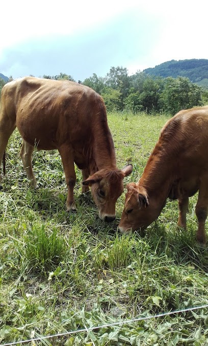 Résidence la Prairie, Location de Vacances à Aigueblanche