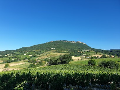 Chez Merlette, Chambre d'Hôtes à Suze