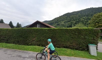 Poirot Emilie, Chambre d'Hôtes à La Bresse