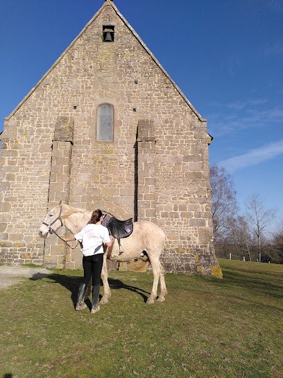 Area Des Pierres Jumelles Balade À Cheval - Chambre D'hôtes-Hébergements Insolites-Mayenne, Chambre d'Hôtes à Sainte-Gemmes-le-Robert