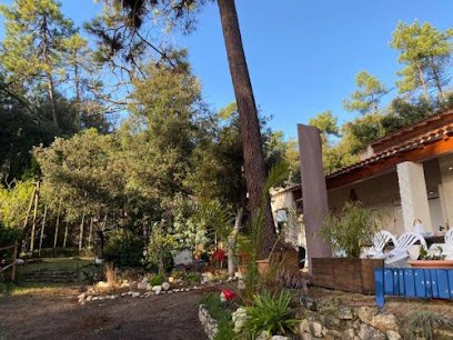 L'Oasis des Tamaris, Location de Vacances à Saint-Georges-d'Oléron