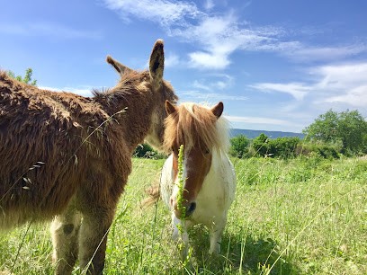 Eco lodge - Gîte - La Fontaine du Figuier, Location de Vacances à Saint-Maurice-sur-Eygues