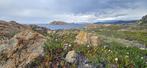 Pti coin de paradis île Rousse, Location de Vacances à L'Île-Rousse