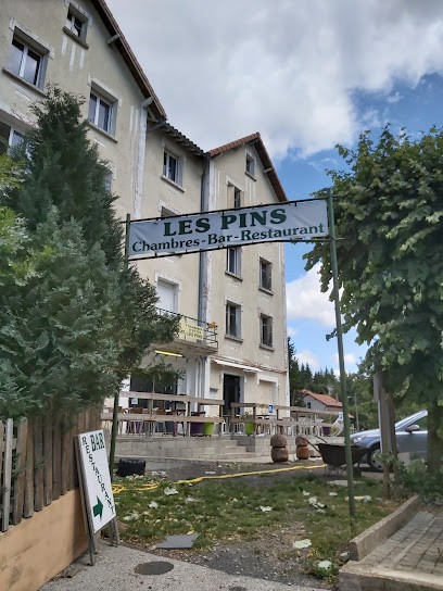 Les Pins Chambres d'hôtes - Bar - Restaurant, Chambre d'Hôtes à La Bastide-Puylaurent