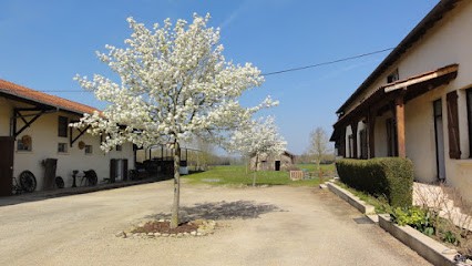 Ferme Du Clos, Chambre d'Hôtes à Neuville-les-Dames