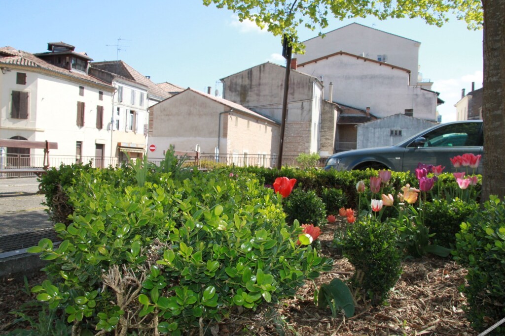 La Maison Duffour chambres d’hôtes avec petit-déjeuner, Chambre d'Hôtes à Tonneins