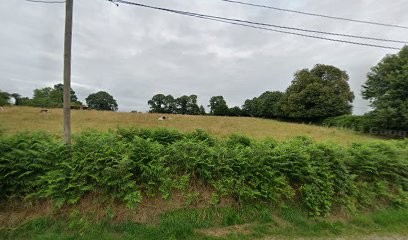 Gite terre de granit, Location de Vacances à La Bazouge-du-Désert
