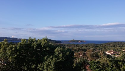 Jardin de Cilagna, Maison d'Hôtes à Zonza