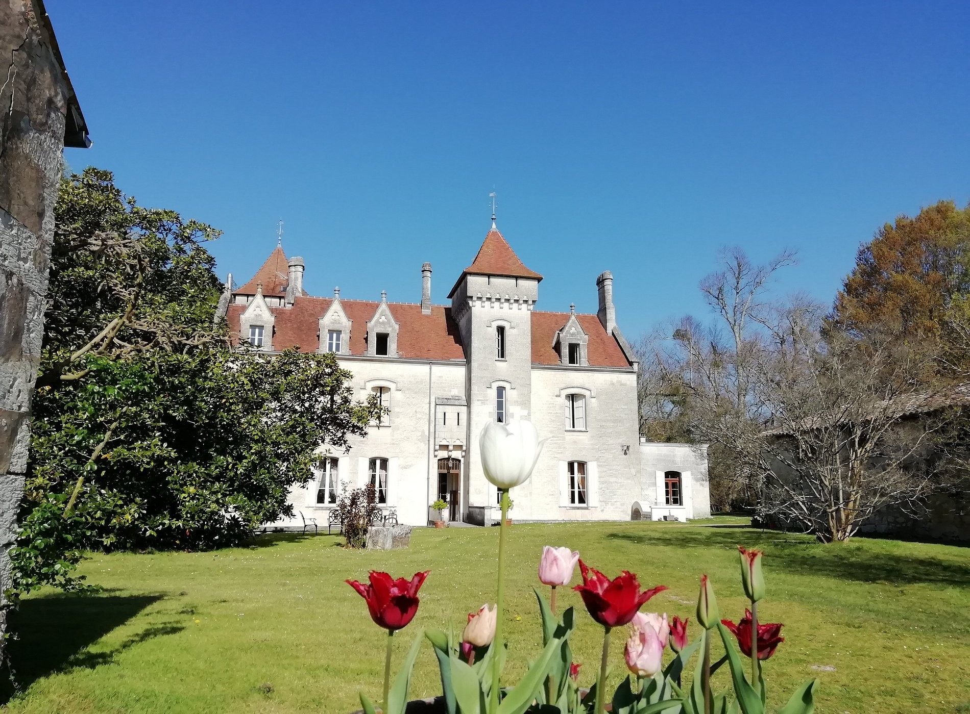 Château des Salles, Chambre d'Hôtes à Saint-Fort-sur-Gironde