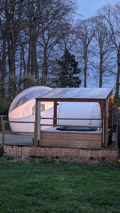 Hêtre en bulle | Hébergement insolite, Chambre d'Hôtes à Cliponville