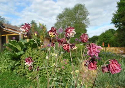 Logis Ciel & Terre, Chambre d'Hôtes au Meix-Saint-Epoing