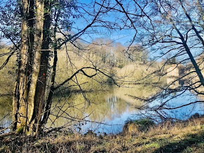 L'Insolite Kosi, Chambre d'Hôtes à Cirey-sur-Vezouze