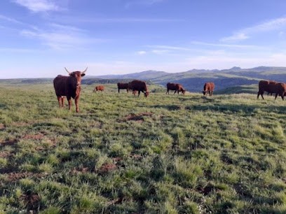 Les Acajous - Chambres d'hôtes, Chambre d'Hôtes à Allanche