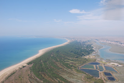 Appartements De L'atlantique : Location Meublés 4 À 7 Pers - Toute Durée - L' Aiguillon - La Faute - La Tranche Sur Mer, Location De Vacances à l' Aiguillon-la-Presqu'île