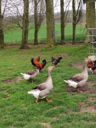 Domaine De La Garenne, Location de Vacances à Daubeuf-Serville