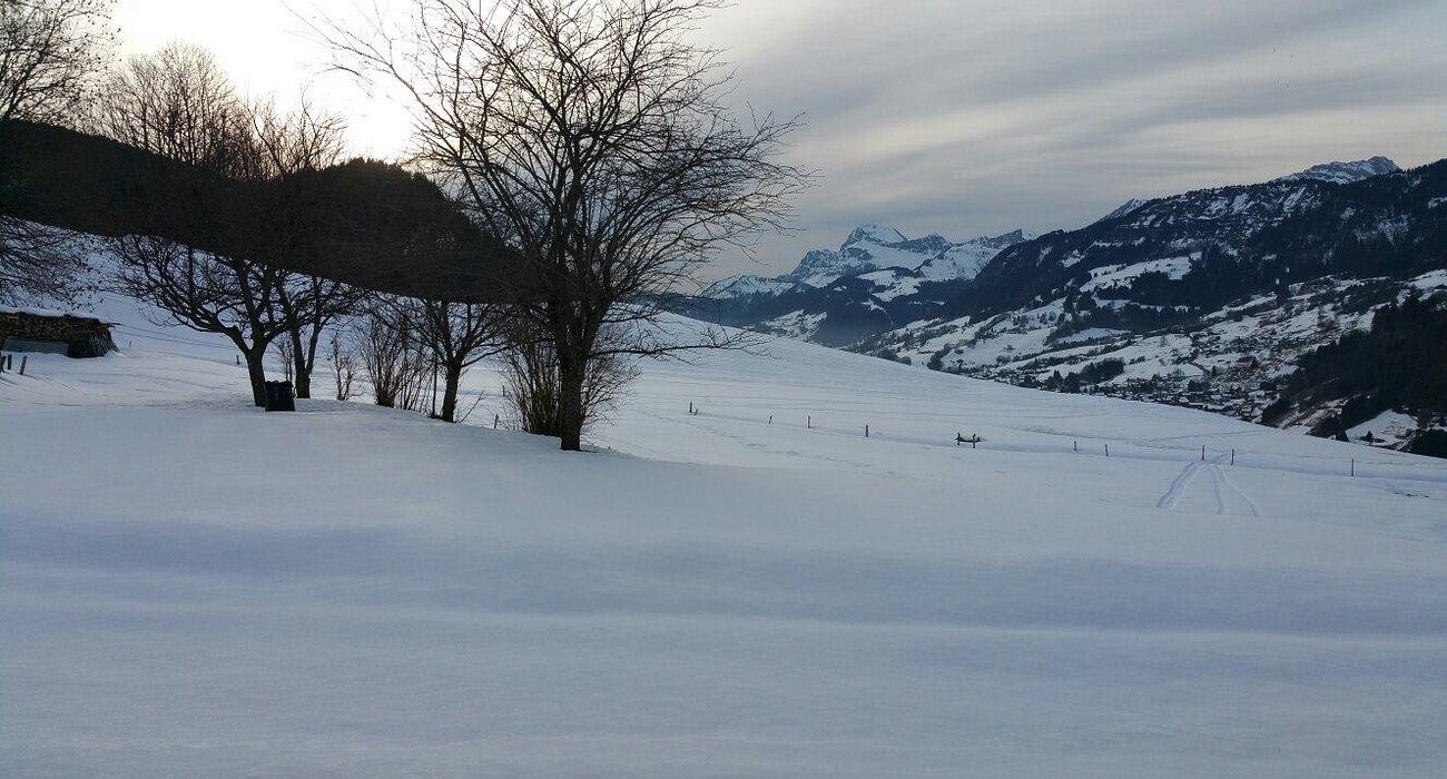 La Ferme Des Granges, Chambre d'Hôtes à Megève