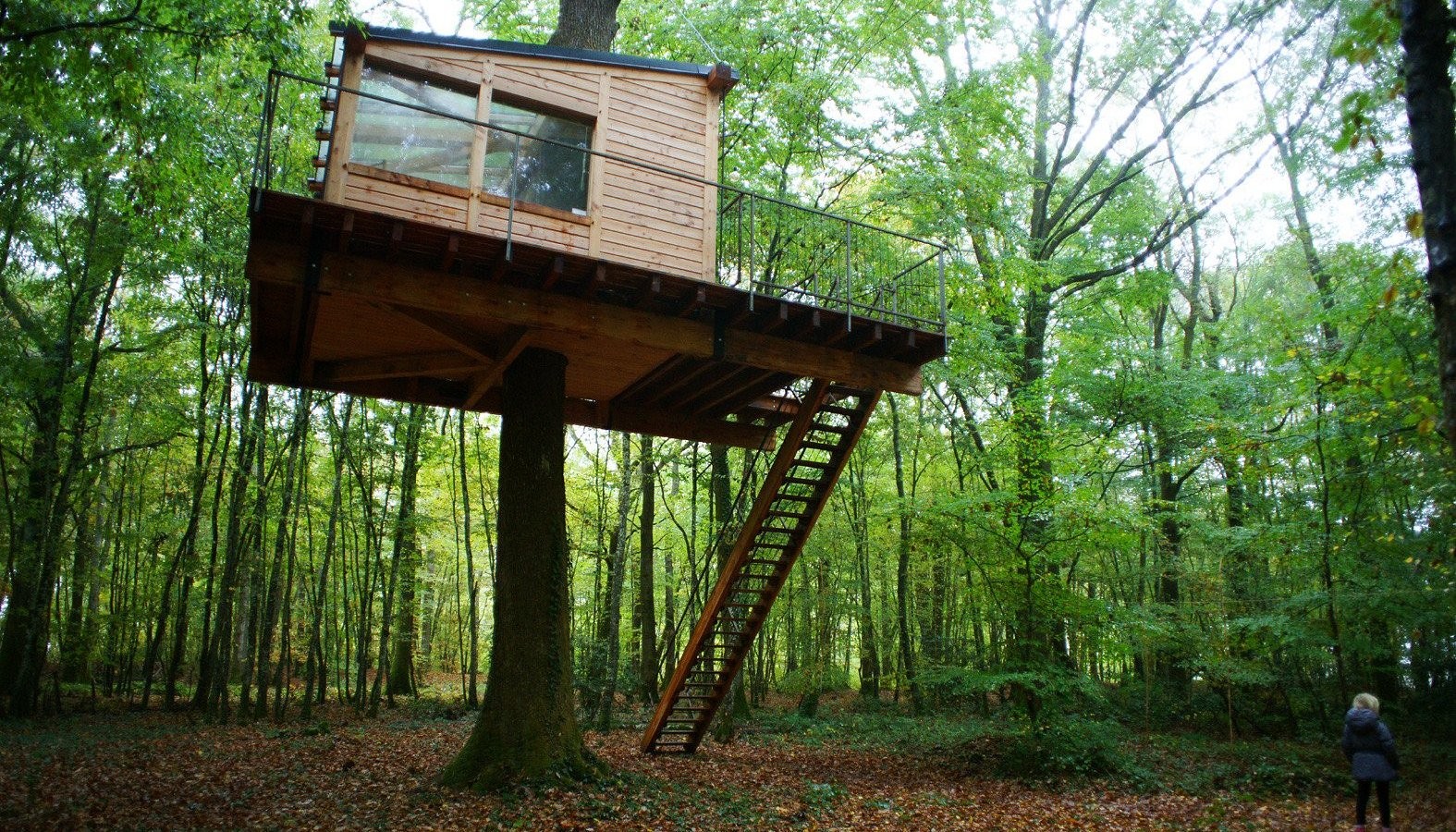 Domaine des Galants Nids Perchés, Chambre d'Hôtes à Saint-Vérain